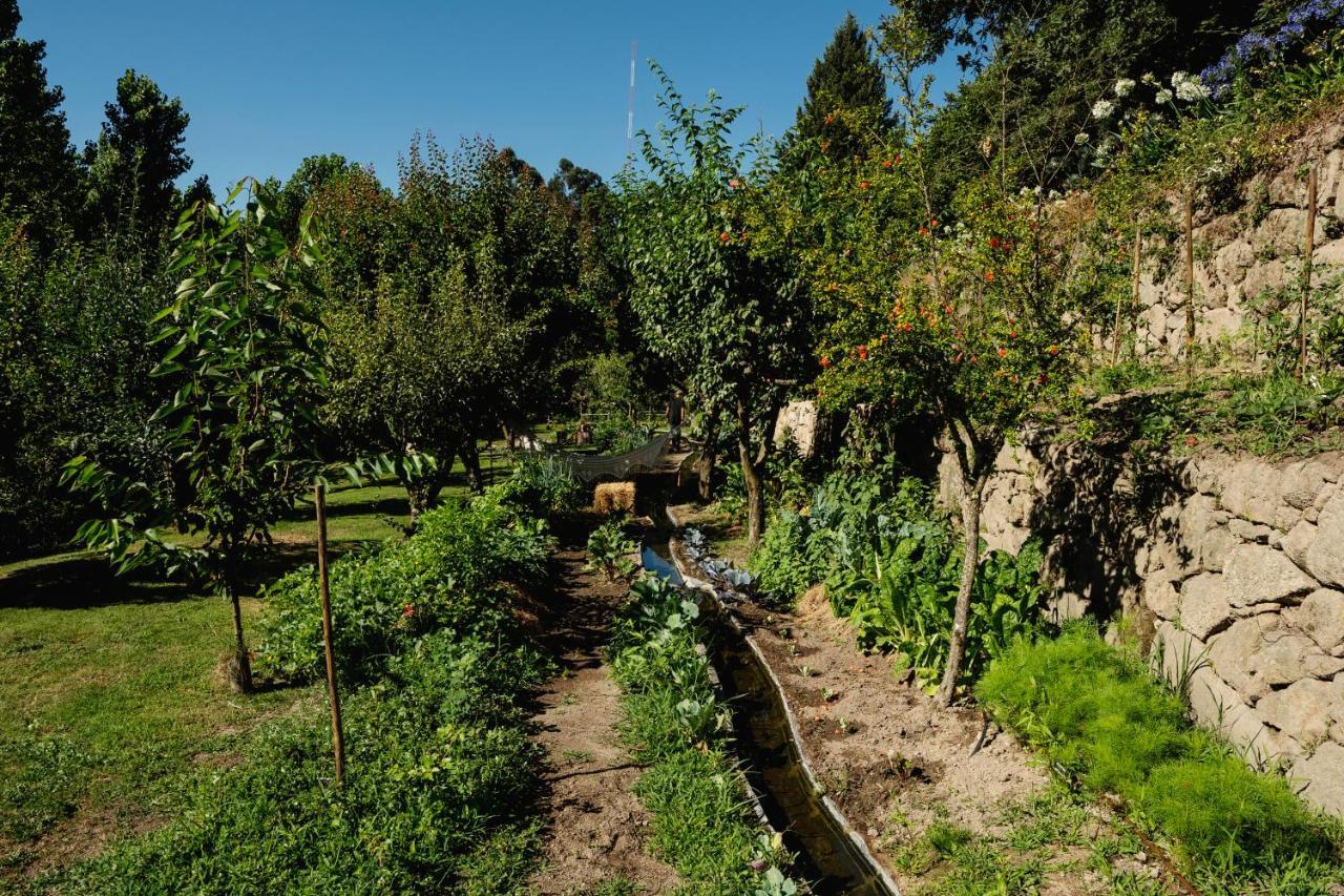 Casa Agricola Da Levada Eco Village Vila Real Exterior photo